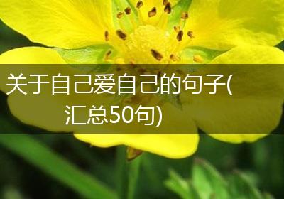 关于自己爱自己的句子(汇总50句)