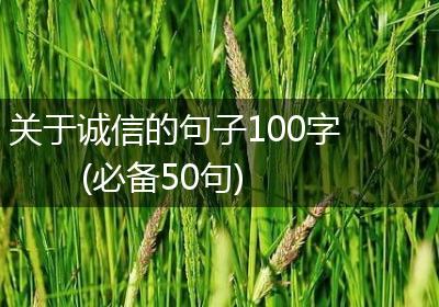 关于诚信的句子100字(必备50句)