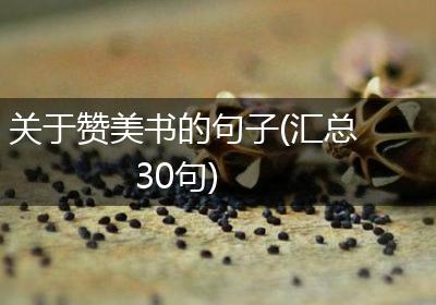 关于赞美书的句子(汇总30句)