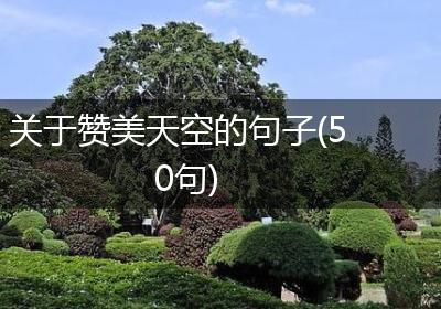 关于赞美天空的句子(50句)