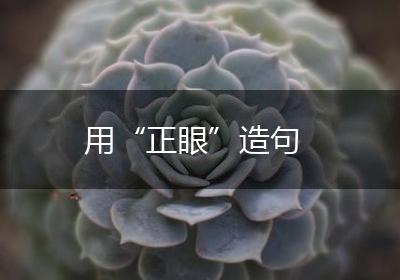 用“正眼”造句