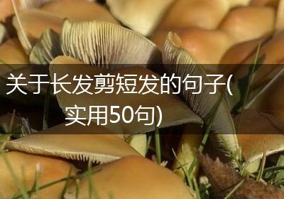 关于长发剪短发的句子(实用50句)