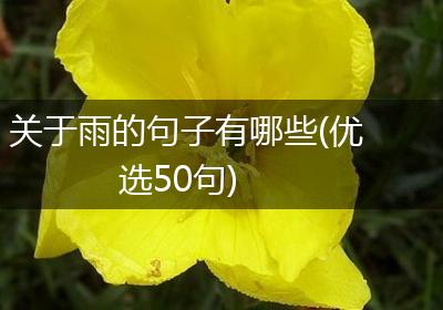 关于雨的句子有哪些(优选50句)