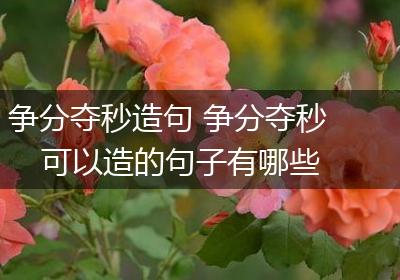 争分夺秒造句 争分夺秒可以造的句子有哪些