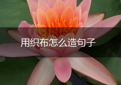 用织布怎么造句子