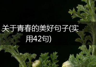 关于青春的美好句子(实用42句)