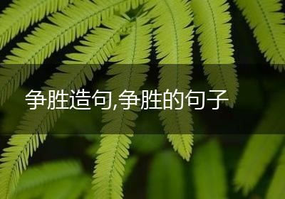 争胜造句,争胜的句子