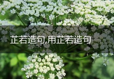 芷若造句,用芷若造句