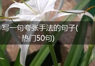 写一句夸张手法的句子(热门50句)