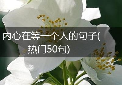 内心在等一个人的句子(热门50句)