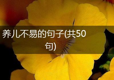 养儿不易的句子(共50句)