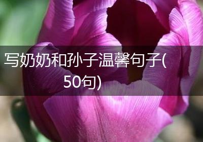 写奶奶和孙子温馨句子(50句)