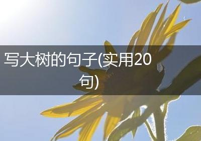 写大树的句子(实用20句)