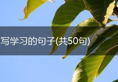 写学习的句子(共50句)