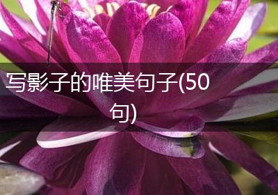 写影子的唯美句子(50句)