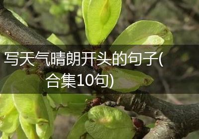写天气晴朗开头的句子(合集10句)