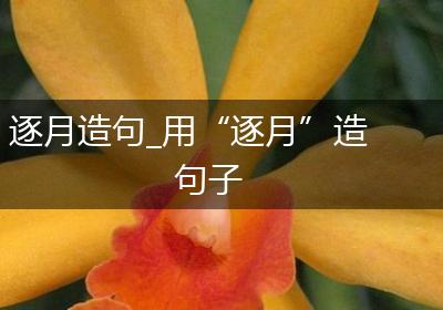 逐月造句_用“逐月”造句子