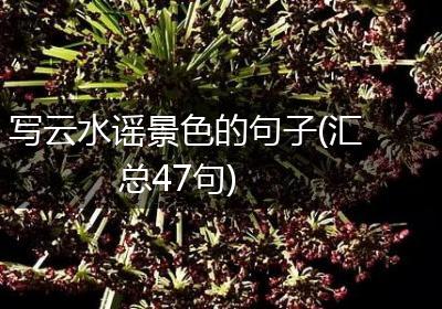 写云水谣景色的句子(汇总47句)