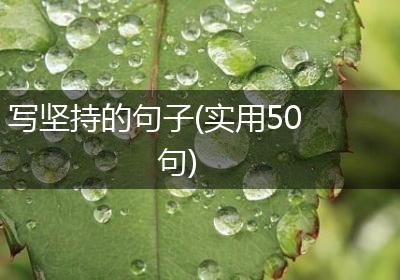 写坚持的句子(实用50句)