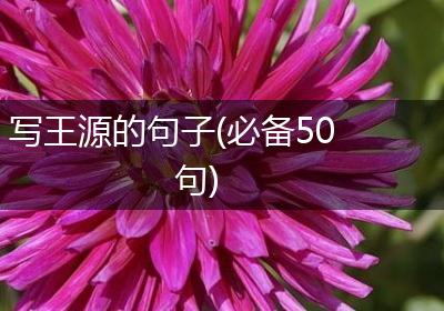 写王源的句子(必备50句)