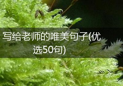 写给老师的唯美句子(优选50句)