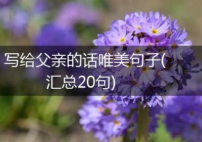 写给父亲的话唯美句子(汇总20句)