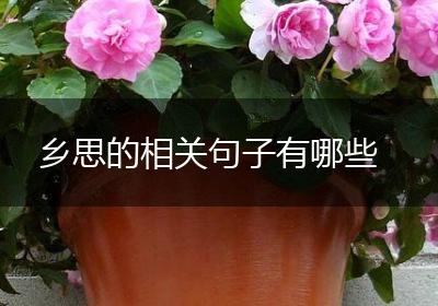 乡思的相关句子有哪些