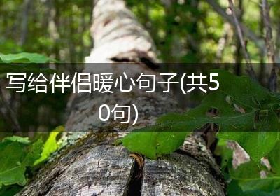写给伴侣暖心句子(共50句)