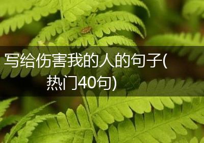写给伤害我的人的句子(热门40句)