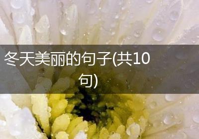 冬天美丽的句子(共10句)