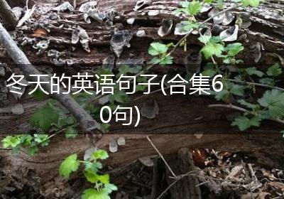 冬天的英语句子(合集60句)