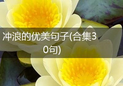 冲浪的优美句子(合集30句)