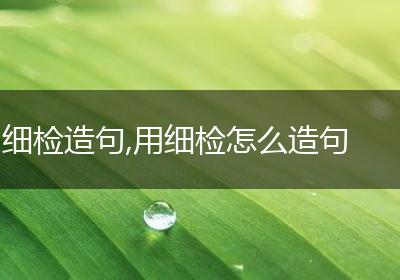 细检造句,用细检怎么造句