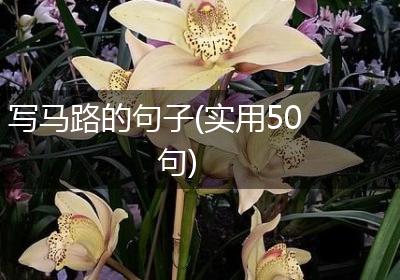 写马路的句子(实用50句)