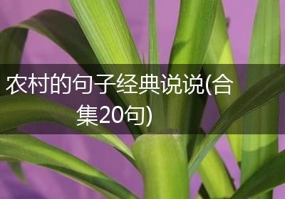 农村的句子经典说说(合集20句)