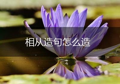 相从造句怎么造