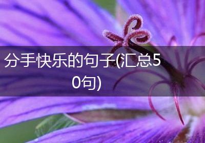 分手快乐的句子(汇总50句)