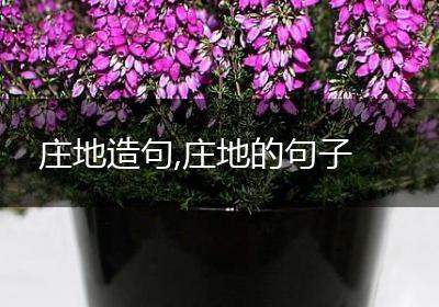 庄地造句,庄地的句子