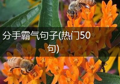 分手霸气句子(热门50句)