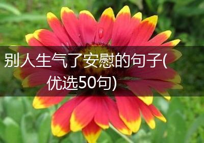 别人生气了安慰的句子(优选50句)