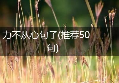 力不从心句子(推荐50句)