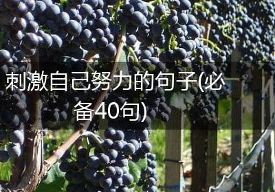 刺激自己努力的句子(必备40句)