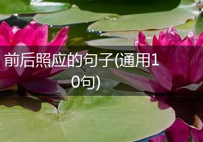 前后照应的句子(通用10句)