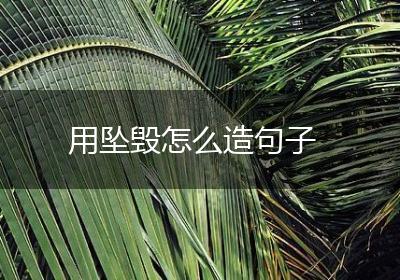 用坠毁怎么造句子