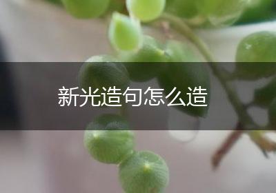 新光造句怎么造
