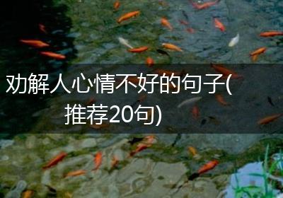 劝解人心情不好的句子(推荐20句)