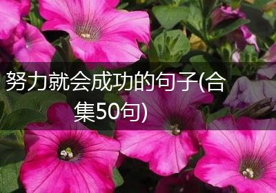 努力就会成功的句子(合集50句)