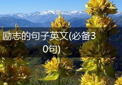 励志的句子英文(必备30句)