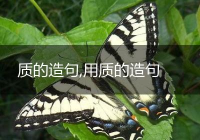 质的造句,用质的造句