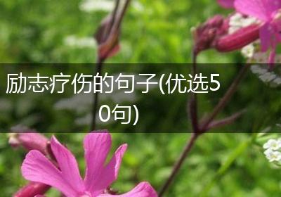 励志疗伤的句子(优选50句)